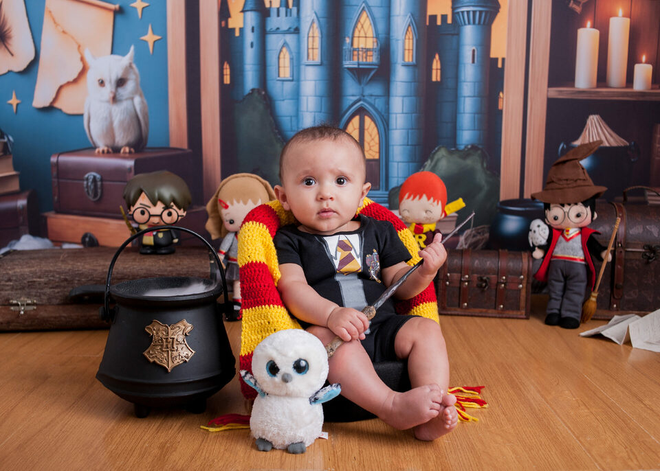Harry Potter (LANÇAMENTO)