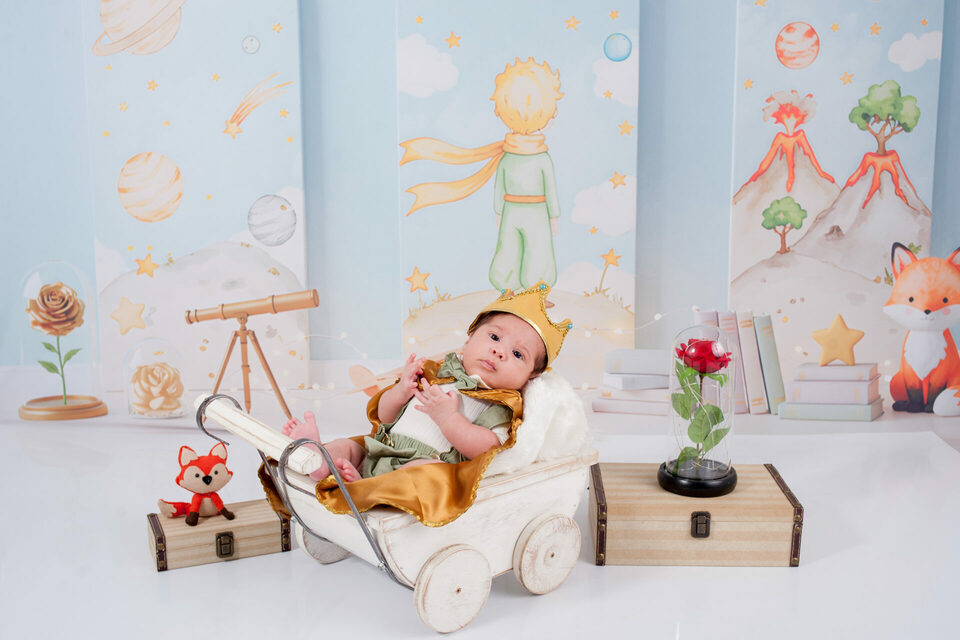 Pequeno Principe (LANÇAMENTO)