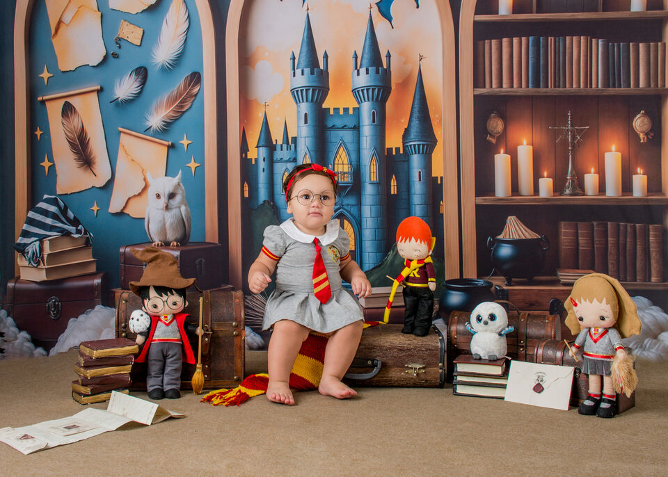 Harry Potter  (LANÇAMENTO)